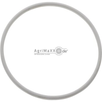 MZ Dichtring - GUNY0080100015