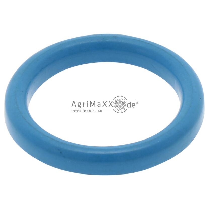 Dichtring blau, NBR, DN 50