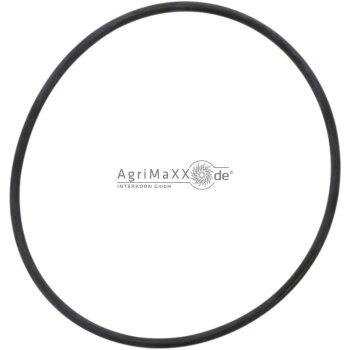 MZ O-Ring - ..OR0020125002
