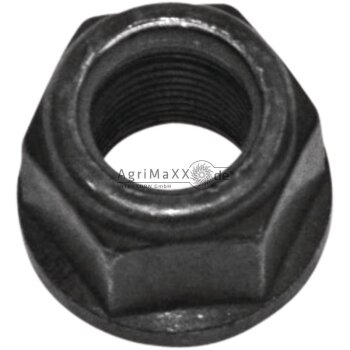 Rabe Poly-Stop-Sechskantmutter - 84050018