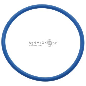 RIV O-Ring - GUOR7805B126