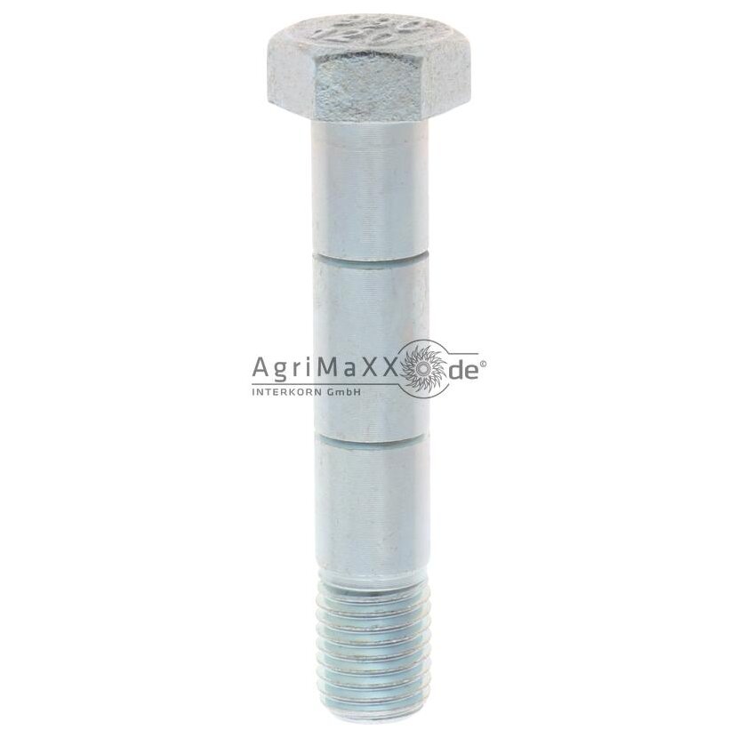 Scherbolzen mit Mutter VE10 - 990120Q10