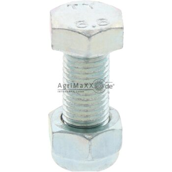 Schraube M16x2 - 8.8