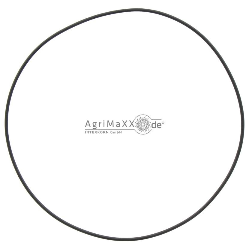 RIV O-Ring 8"" - GUOR7805B121