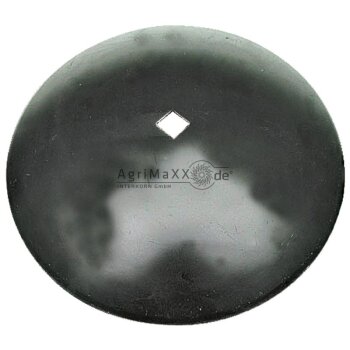 Tellerscheibe