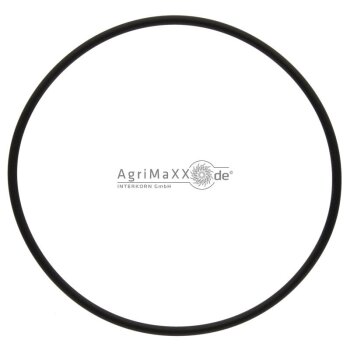 Annovi Reverberi O-Ring - 12409