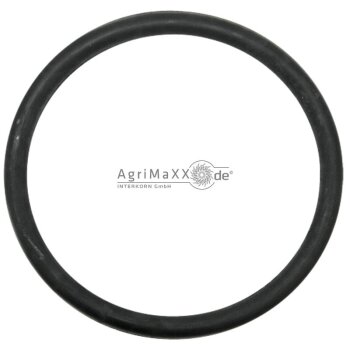 Gummidichtungsring 2 1/2""