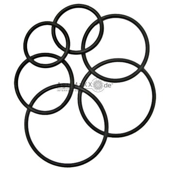 O-Ring