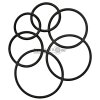 O-Ring