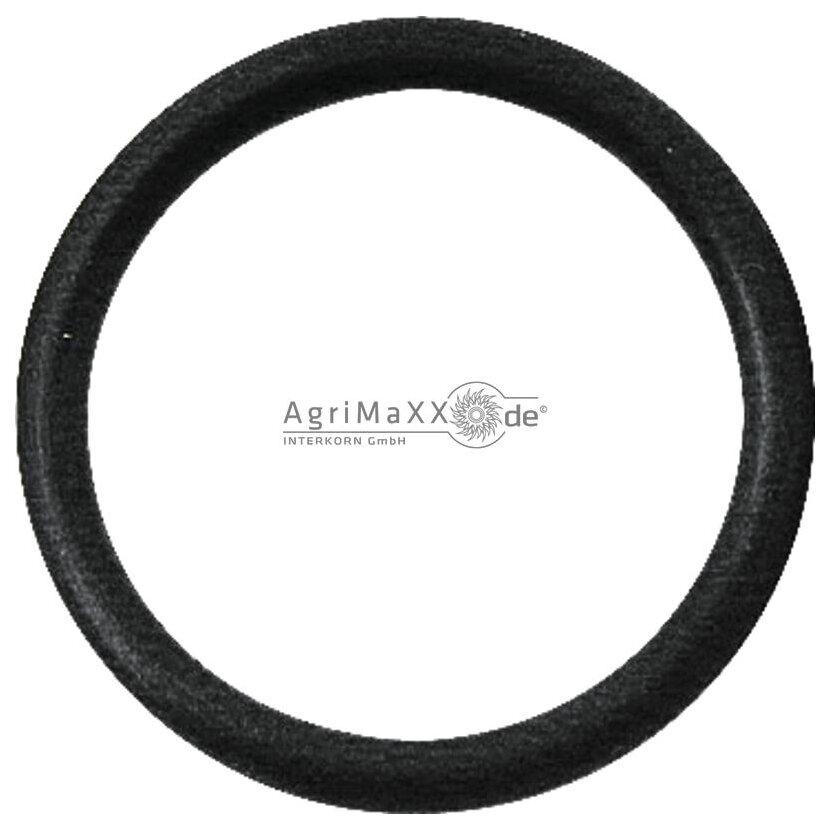 Walterscheid O-Ring - 1122363, 122363