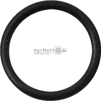 Walterscheid O-Ring - 1122363, 122363