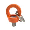 Dolezych Ringschraube GK 10 M36 7.000 kg