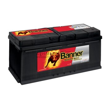 Banner Starterbatterie 100Ah