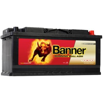 Banner Batterie 12V 105AH 950A