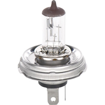 BOSCH VPE1 Glühlampe R2 Halogen 12V 45/40W - 1987301021