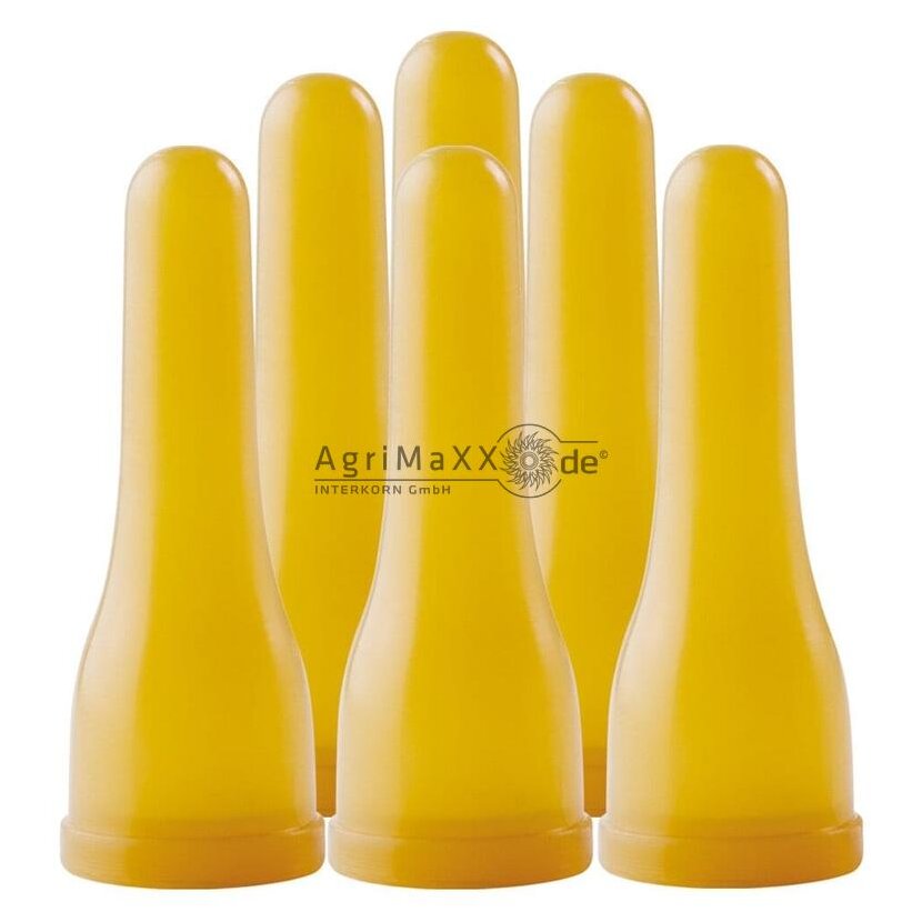 Horizont VPE6 Sauger Lamm für Flasche - 38120019
