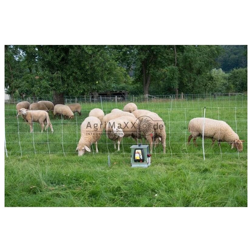 Horizont Schafnetz