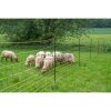 Horizont Wolfsabwehrnetz - 14967