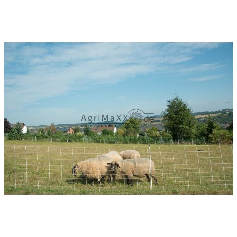 Horizont Schafnetz - 15207