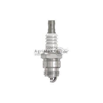 Denso VPE10 Zündkerzen
