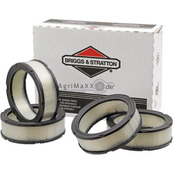 Briggs & Stratton VPE4 Luftfilter - 4135