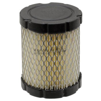 Briggs & Stratton Luftfilter