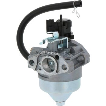 Vergaser - 16100-Z0L-876, 16100-Z0L-875