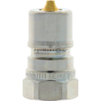Parker-Tema-KS IG-1/2BSP - IB5020