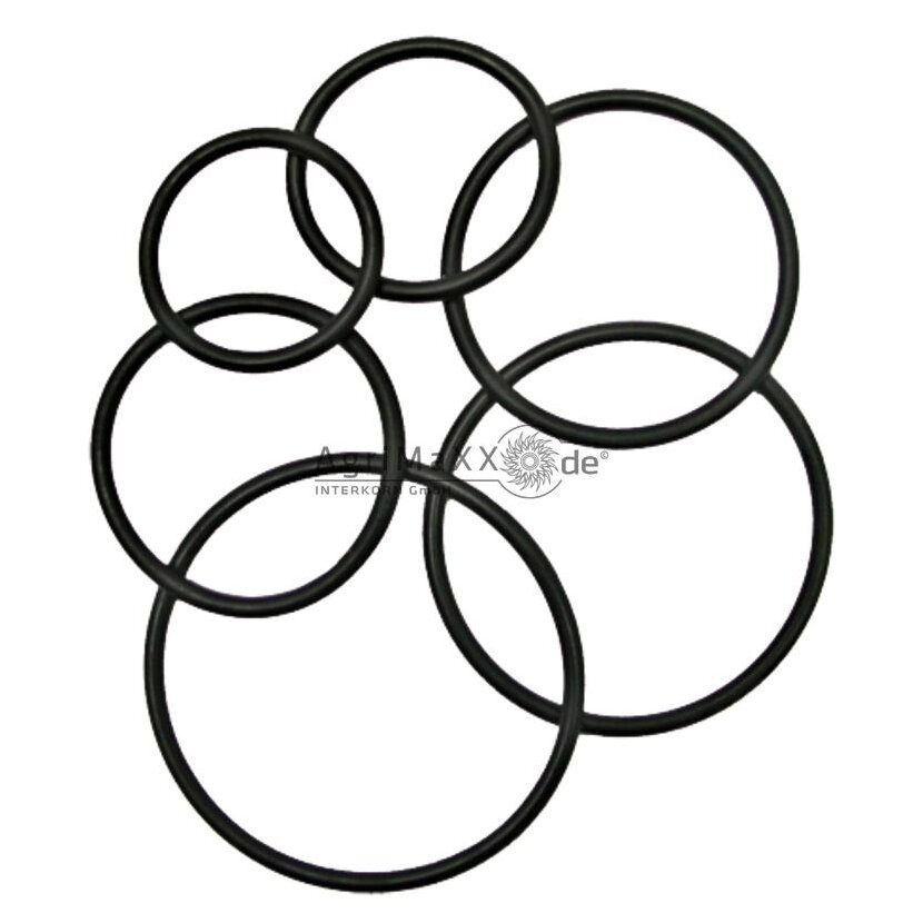 VPE10 O-Ring 133,02x2,62