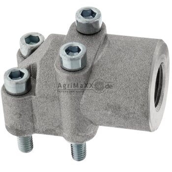 WP-Flansch-LK30-3/8 - WP-LK30-G038-W50, RB038-30-M