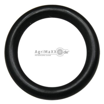 O-Ring 60&deg; BSP z&ouml;llig G 3/4 - 30137