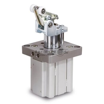 SMC Stopperzylinder - RS2H50-30DM