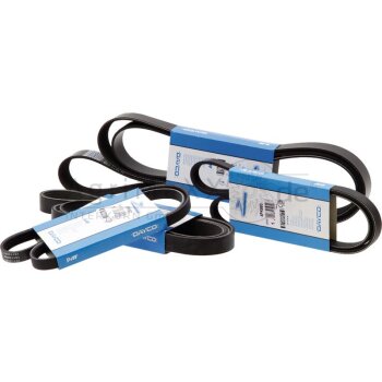 Dayco Keilriemen - 47107730