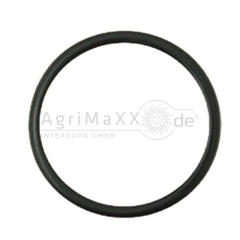 O-Ring - 01181178