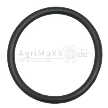 O-Ring - L169998