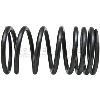 Ventilfeder - 735521M1