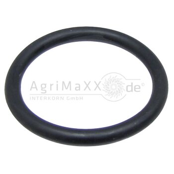 O-Ring - 14471081