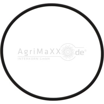 O-Ring - 354194A1 - 354194A1
