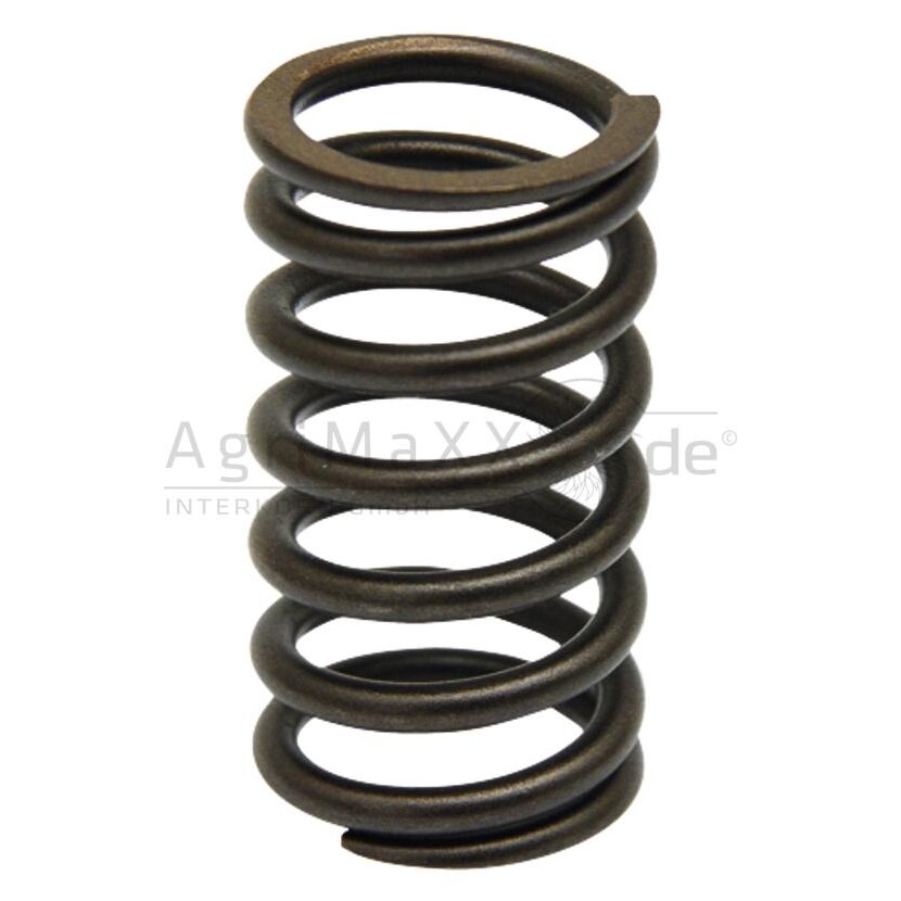 Ventilfeder - 04200150