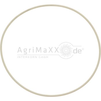 Dichtring - 01160528