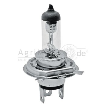 Philips Halogenlampe H4 - 12342PRB1