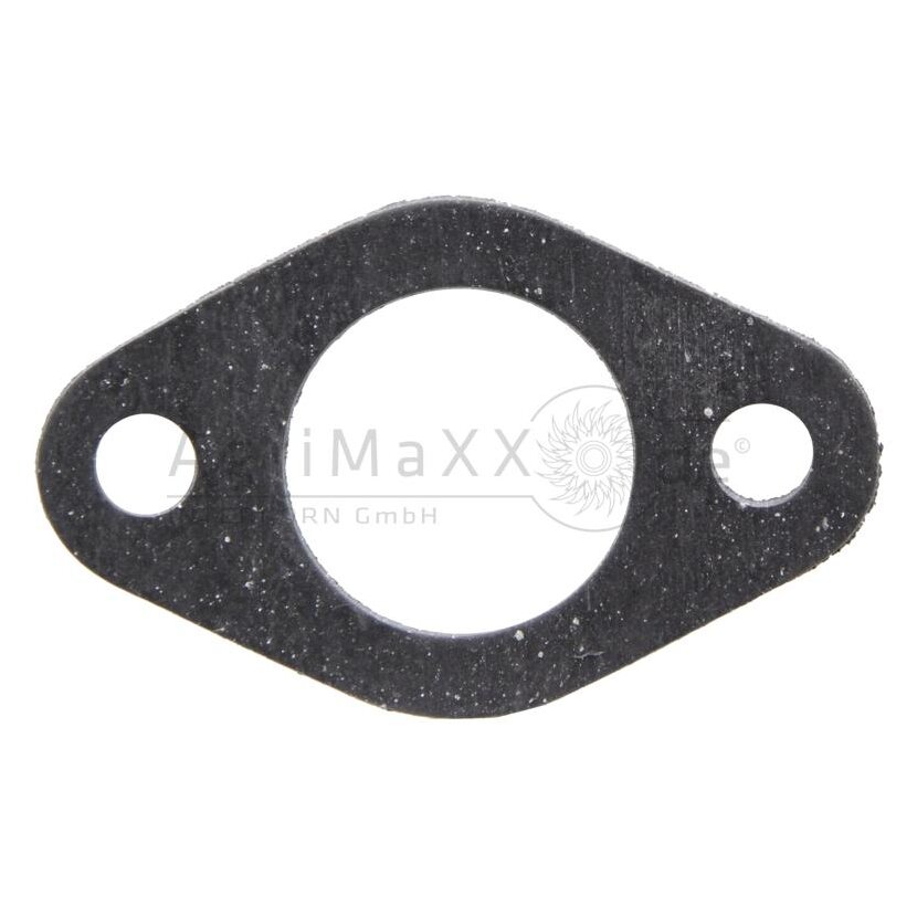 Dichtung - X542203081000