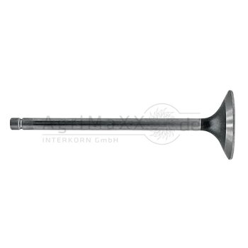 Auslassventil - R90692