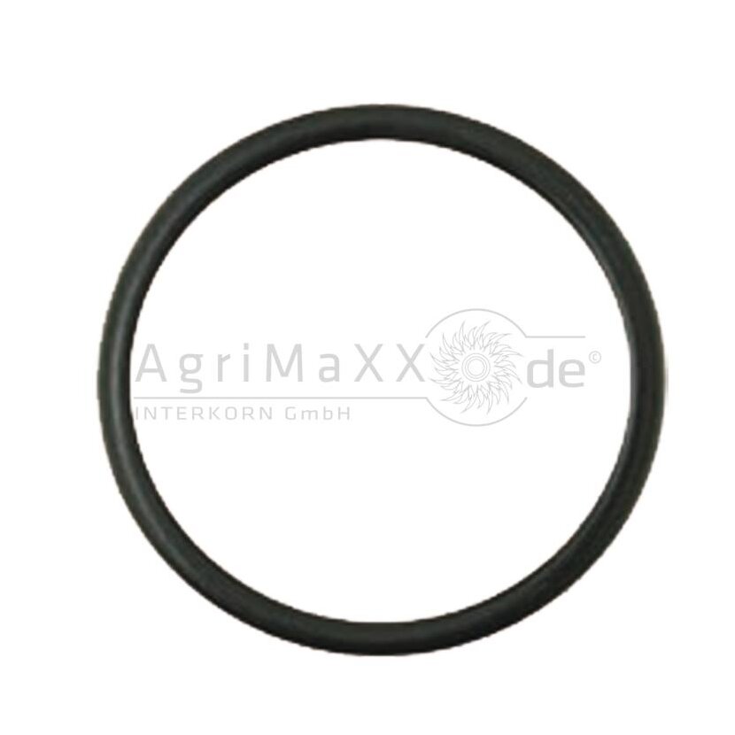 O-Ring - 4222713M1