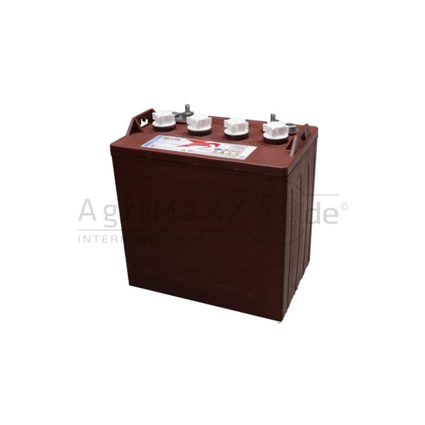 Batterie DeepCycle 8V 170Ah