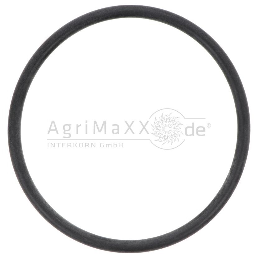 O-Ring - 02/910886