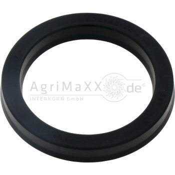 Dichtring - 03401322