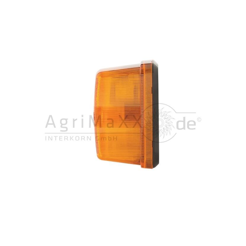 HELLA Blinkleuchte - 2BA 003 014-111