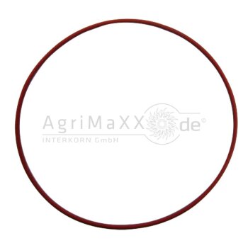 O-Ring - 01166120
