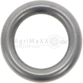 O-Ring - 4890929 - 4890929